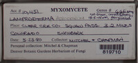 Image Associated With the Occurence